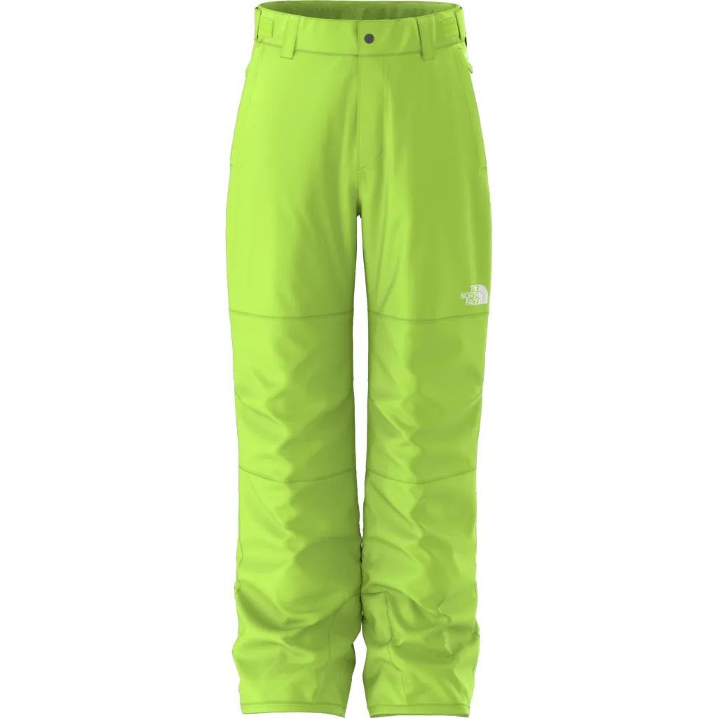 North Face Freedom Insulated Pant (NF0A88TY) Boys 2025