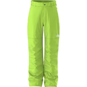 North Face Freedom Insulated Pant (NF0A88TY) Boys 2025