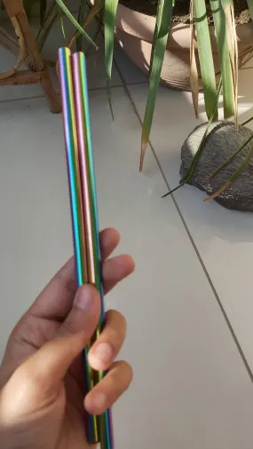 Stainless Steel Straw